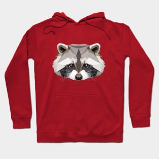 Raccoon Hoodie